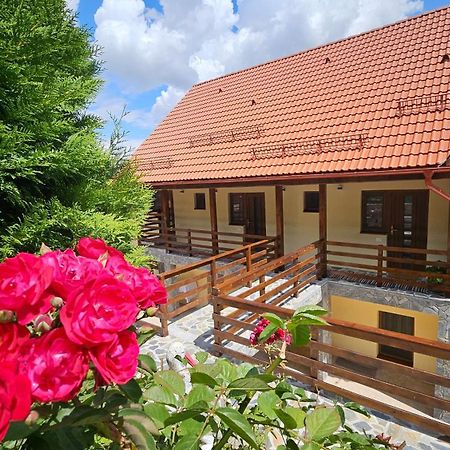 Matei Residence Braşov Extérieur photo