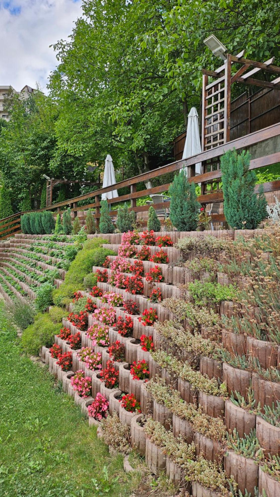 Matei Residence Braşov Extérieur photo