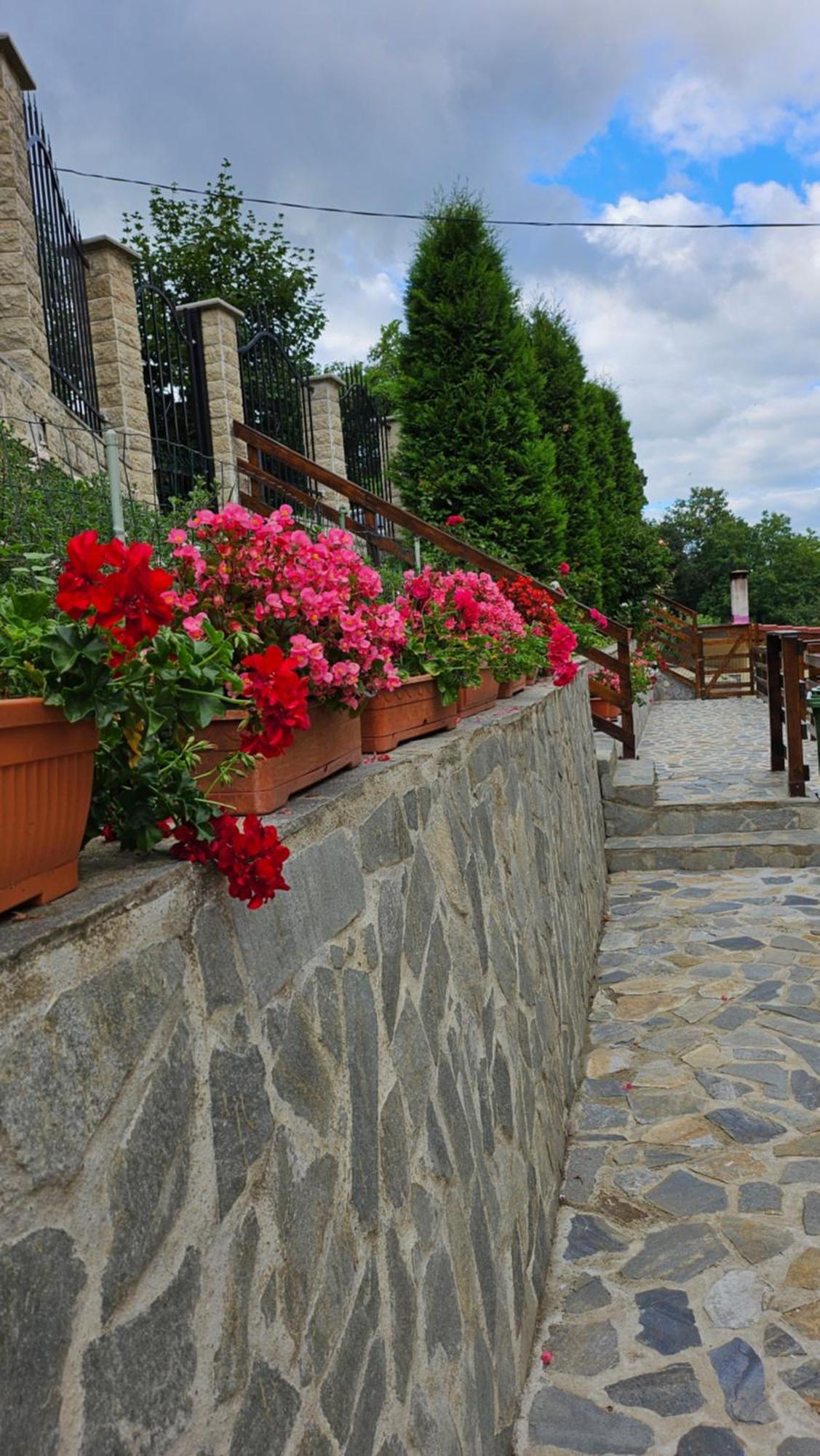 Matei Residence Braşov Extérieur photo