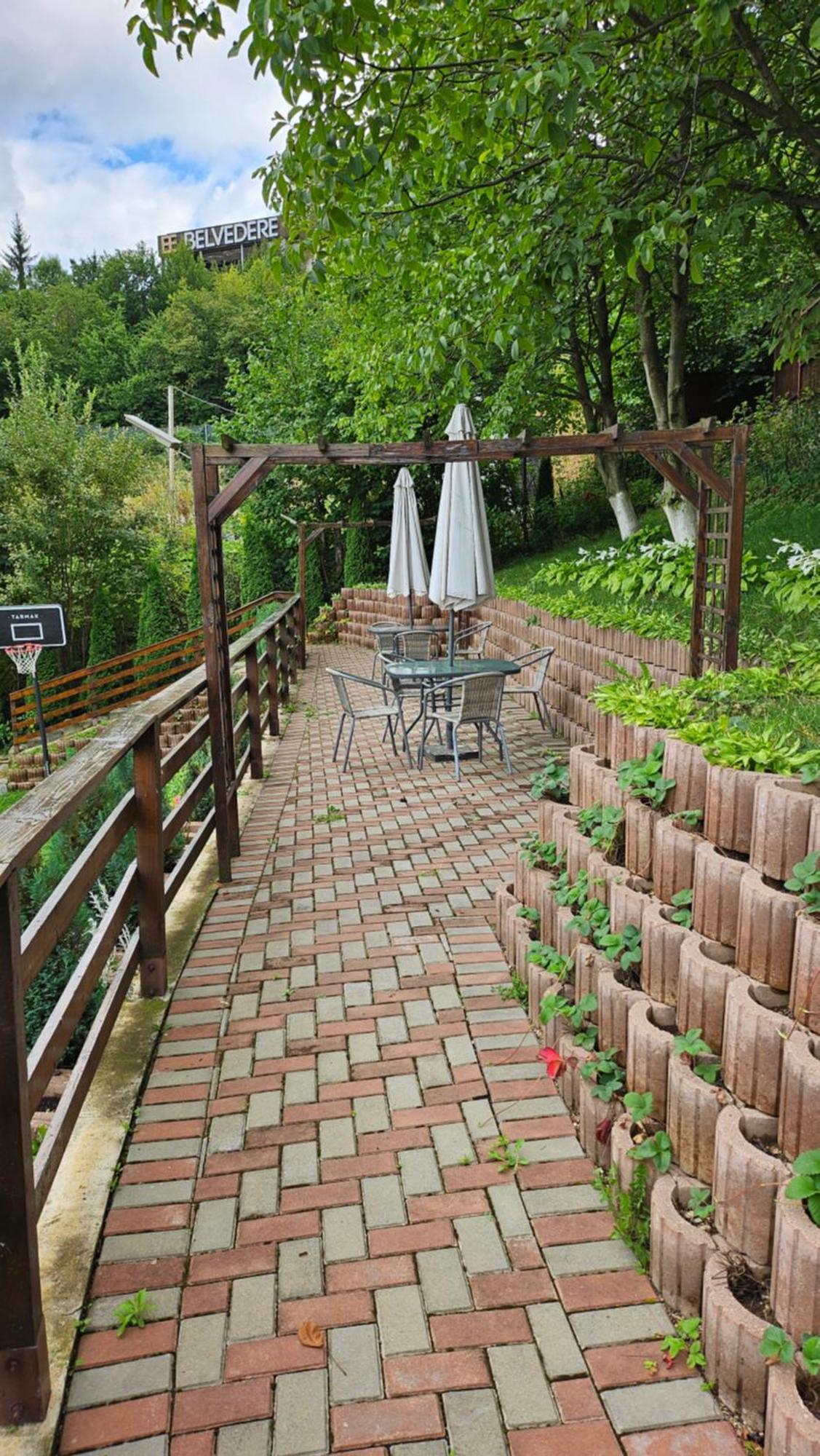 Matei Residence Braşov Extérieur photo